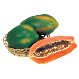 Red Lady (786) Papaya From Known You Seed (India)-KYI